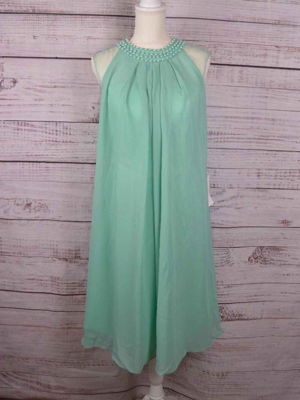 TS Couture Women's Size Small SEE MEASUREMENTS Vintage Look Dress NEW